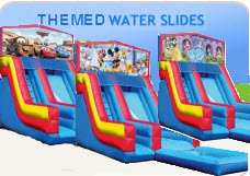Themed Water Slides